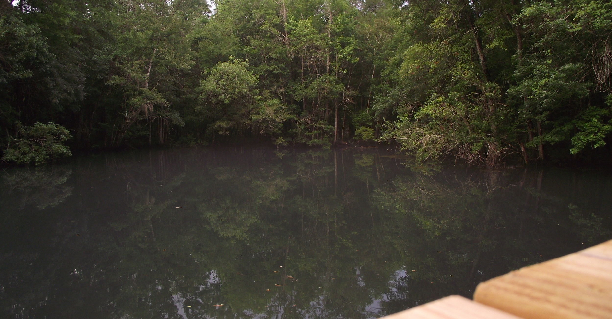 DSCF4621.JPG